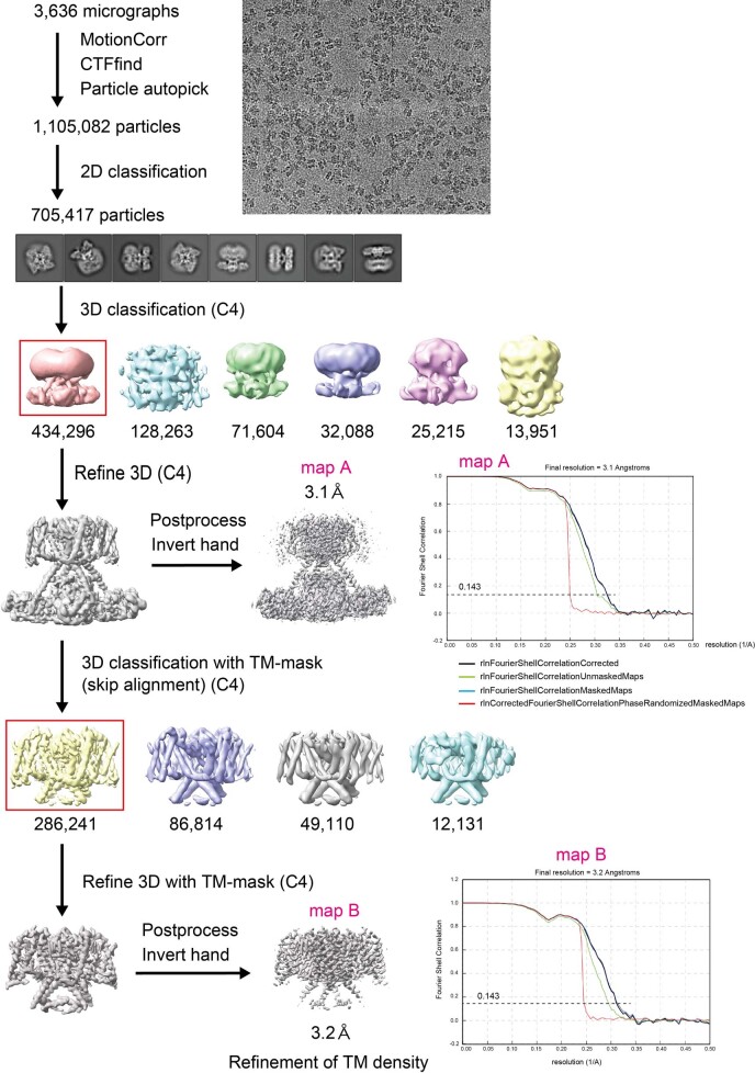 Extended Data Fig. 4