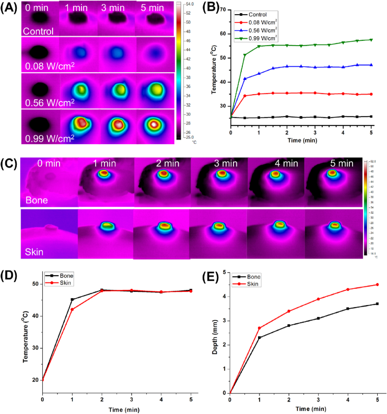 Fig. 2