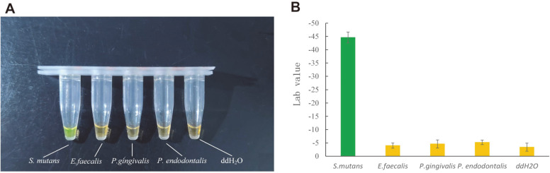 Fig. 8