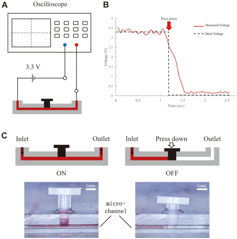 Fig. 2