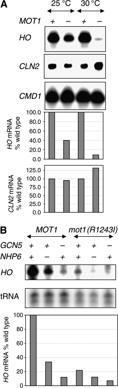 Figure 7.