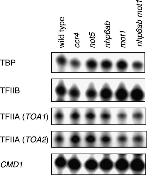 Figure 6.