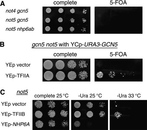 Figure 4.