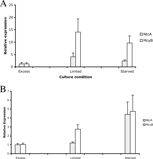 FIG. 6.