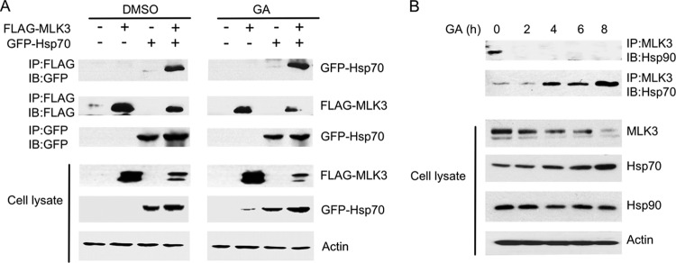 FIG 3