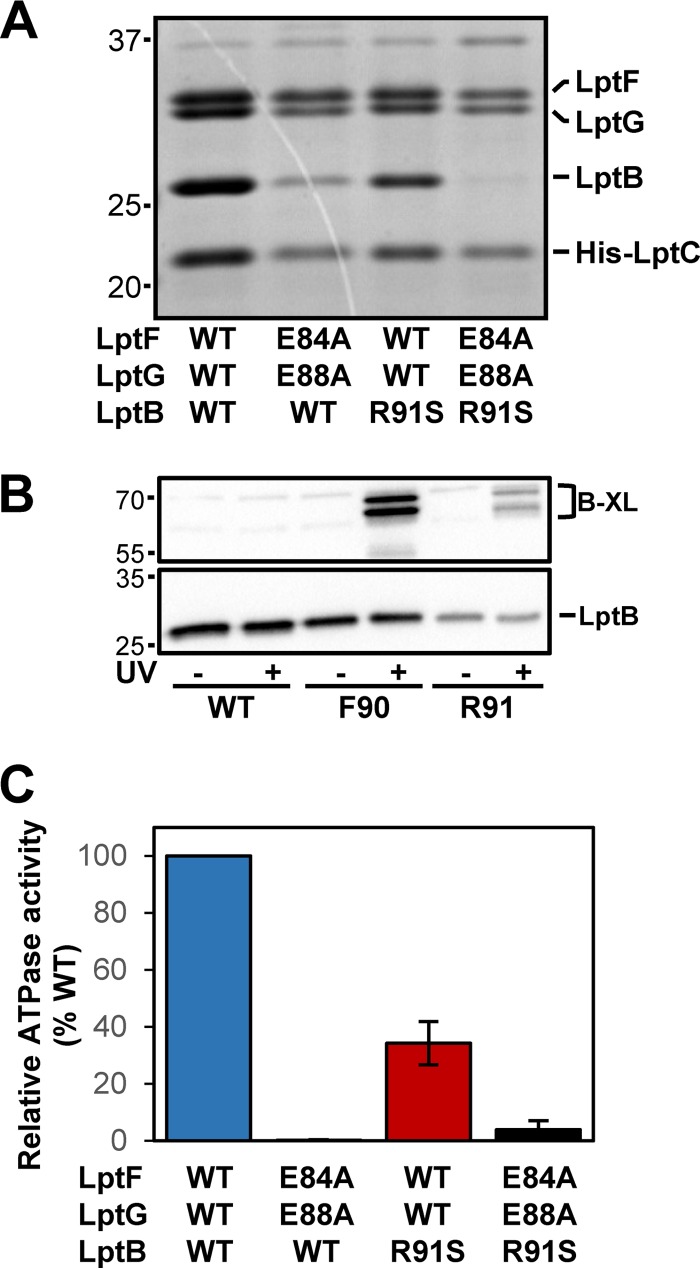 FIG 4 