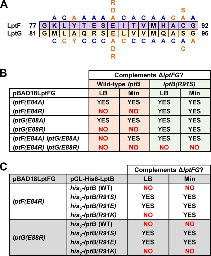 FIG 3 