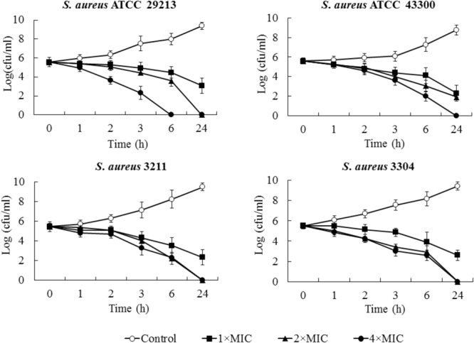 FIGURE 2