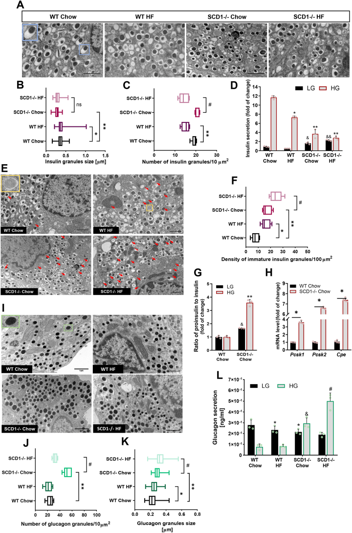 Figure 6