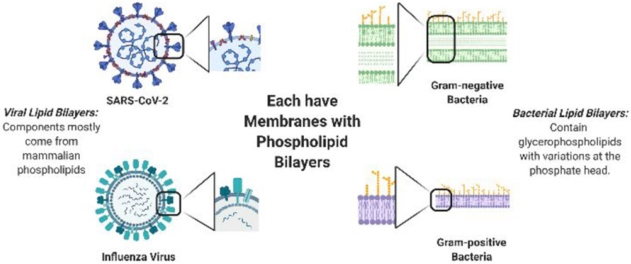 Figure 5.