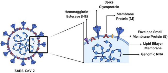 Figure 1.