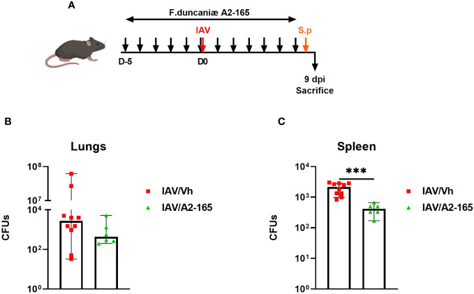 Figure 5