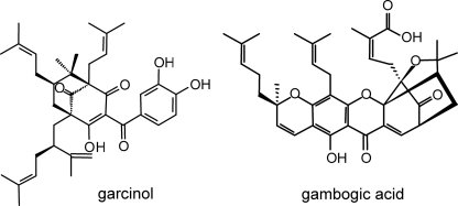 FIGURE 1.