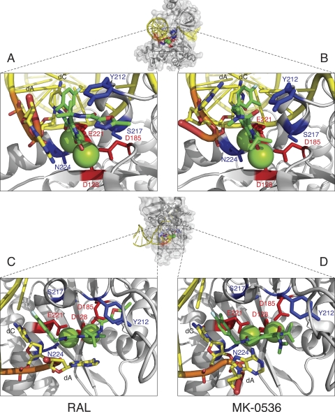 Fig. 1.