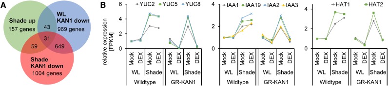 Figure 6.