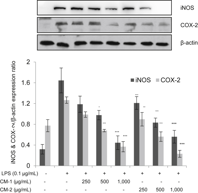 Fig. 4