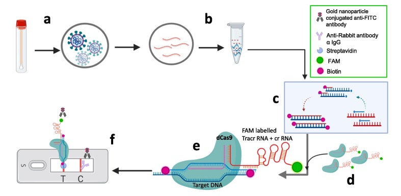 Fig. 9