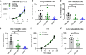 Figure 4. Pharmacologic inhibition of CaMKK2 impairs metastasis from the primary tumor in vivo. A, MDA-MB-231-4175 cells were orthotopically injected into the mammary fat pad of 6-week-old female nude mice. Five days postinjection, the animals were dosed with vehicle (n = 10), STO-609 (30 mg/kg; n = 8), or GSKi (10 mg/kg; n = 9) by intraperitoneal injections every third day. Tumor growth rate was monitored until the tumors reached a volume of 2,000 mm3. B–D, Quantitative analysis of metastatic foci in the lung (B), liver (C), and the total metastatic burden (includes metastatic foci in the liver and lung taken together; D). The mice were sacrificed after the primary tumor reached approximately 2000 mm3, and the metastatic foci were analyzed ex vivo. E, Subcutaneous tumor growth in 6-week-old female nude mice orthotopically injected with murine 4T1 cells. The mice were randomized (five days after tumor cell injection in the mammary fat pad) and dosed with vehicle (n = 7) or STO-609 (30 mg/kg; n = 9) by intraperitoneal injections every third day. Tumor growth rate was monitored until the tumors reached a volume of 2,000 mm3. F, Quantitative analysis of metastatic nodules in the lung. Data, mean ± SEM. *, P < 0.05; **, P < 0.01; by two-way ANOVA followed by Bonferroni multiple-correction test (A and E) or unpaired Student t test (B–D and F).