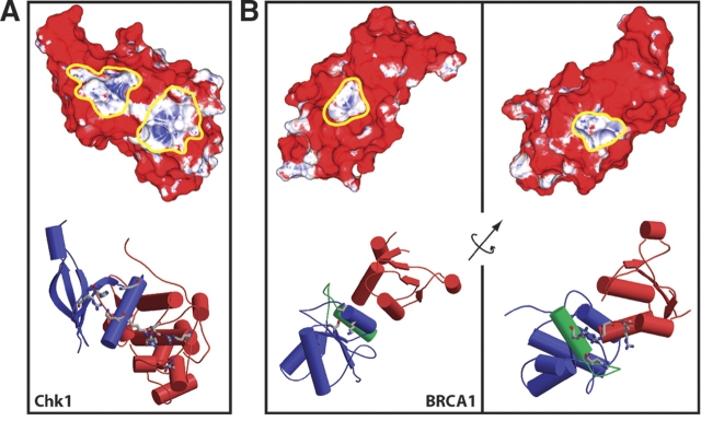 Figure 5.