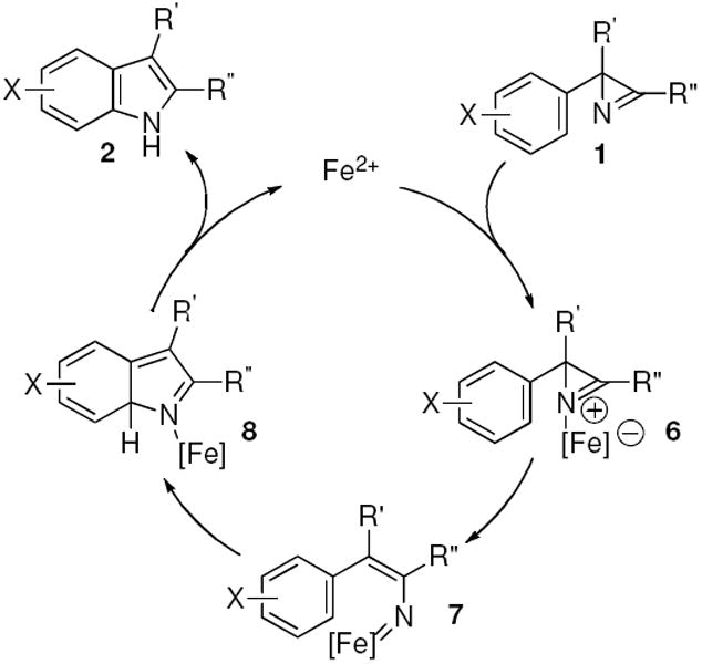 Scheme 4