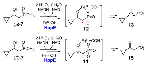 Scheme 3