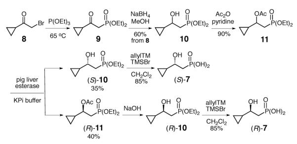 Scheme 2