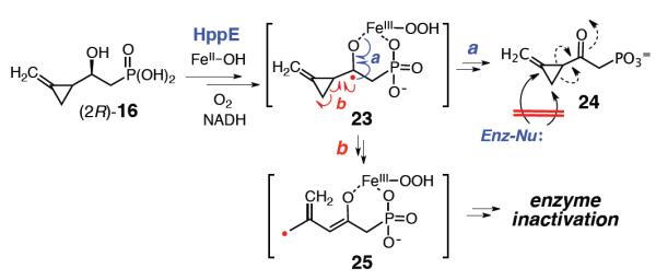 Scheme 6