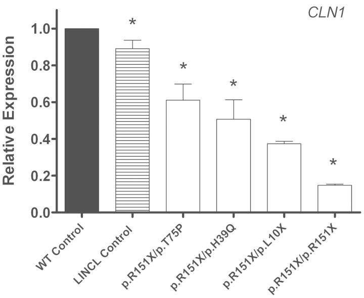 Figure 2.