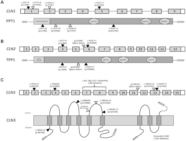 Figure 1.