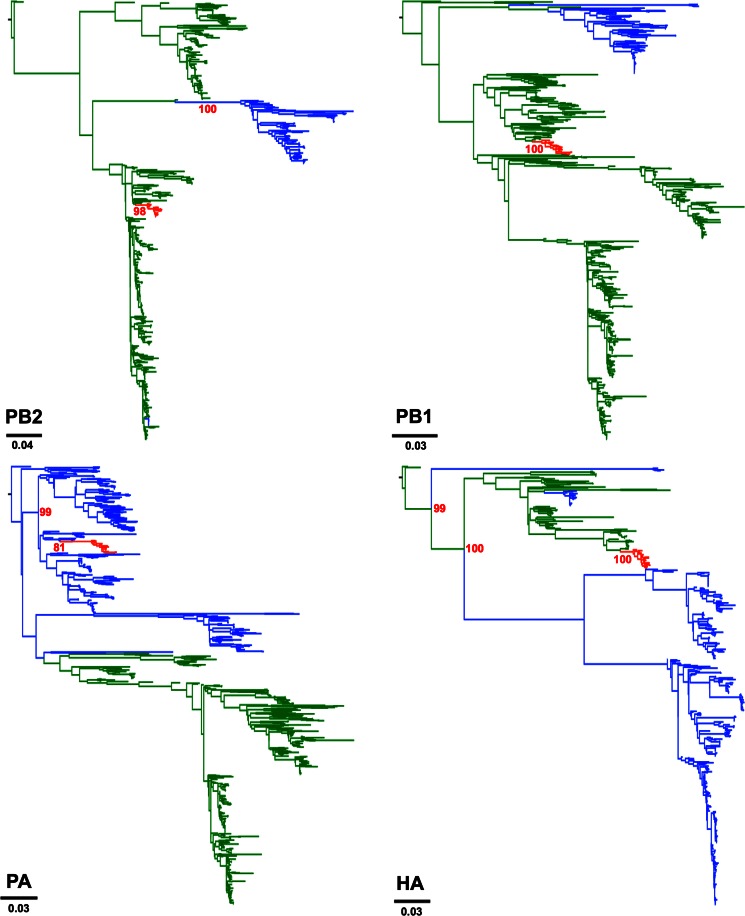 FIG 1