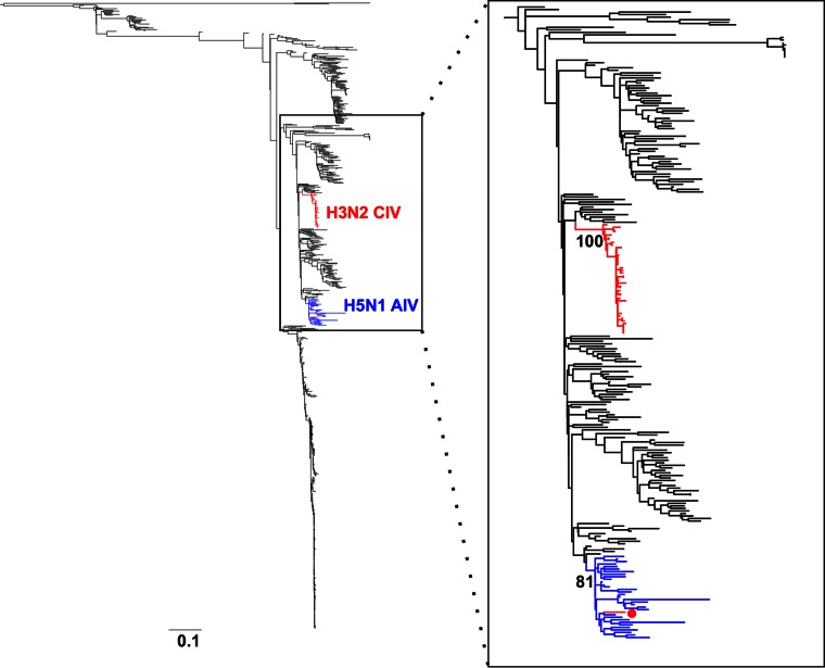 FIG 3