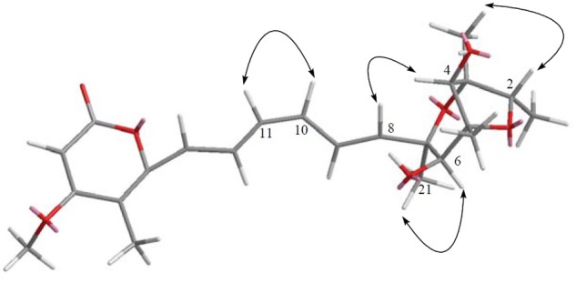 FIGURE 11