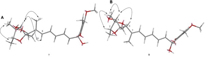 FIGURE 8