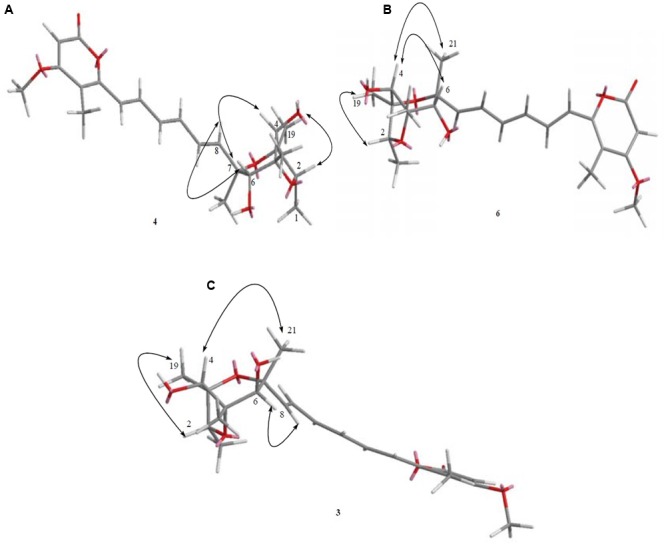 FIGURE 12