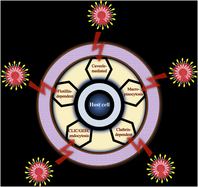 Fig. 2