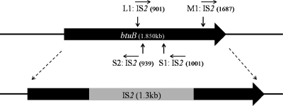 FIG. 7.