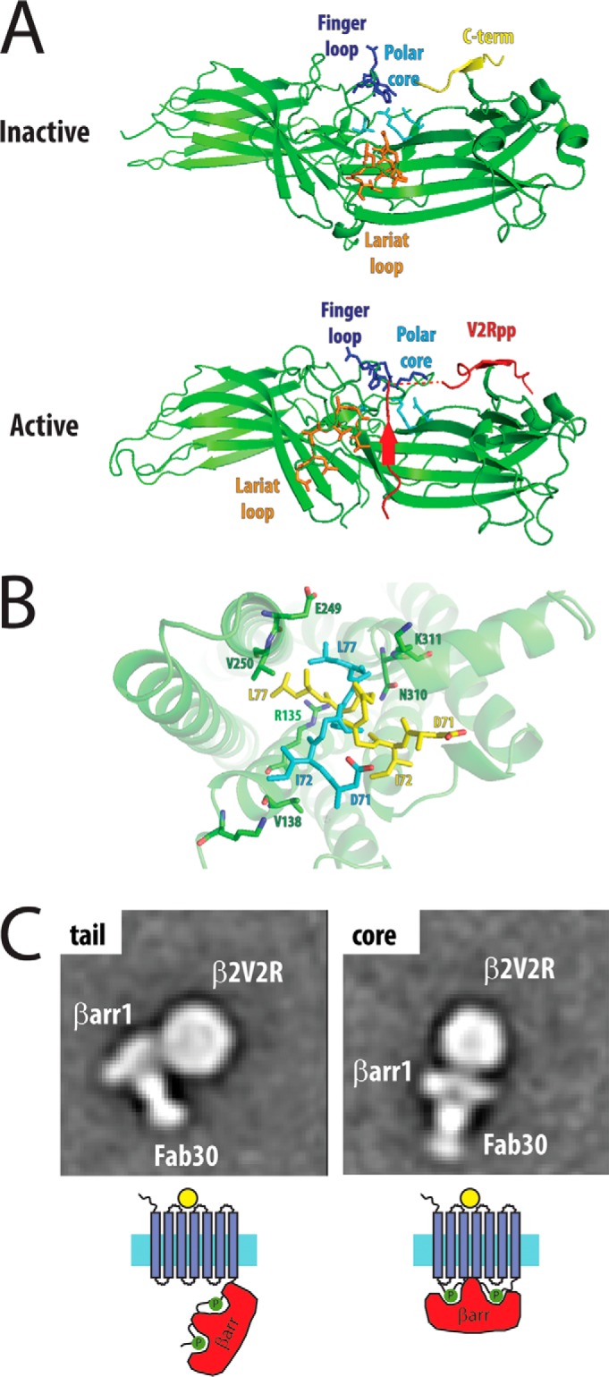 FIGURE 4.