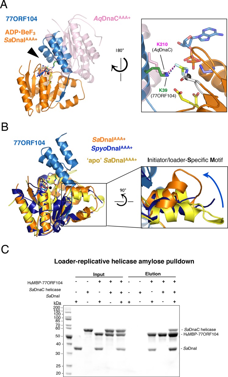 Figure 4.