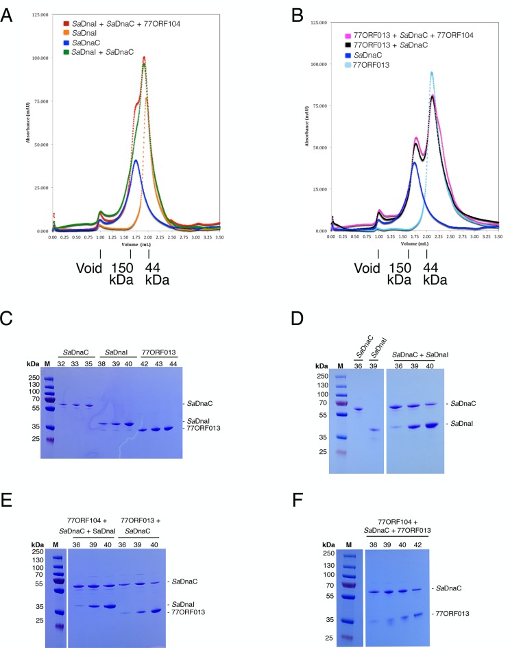 Figure 4—figure supplement 2.