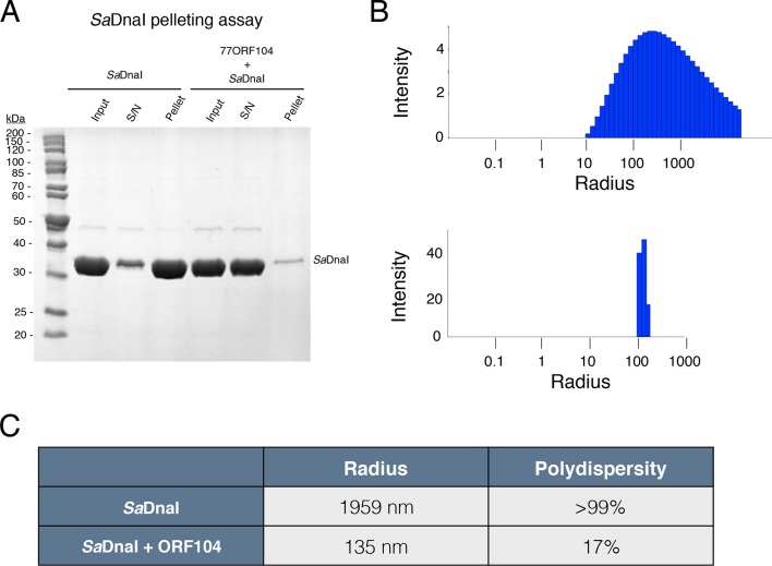 Figure 4—figure supplement 1.