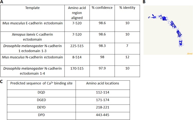 FIG 1