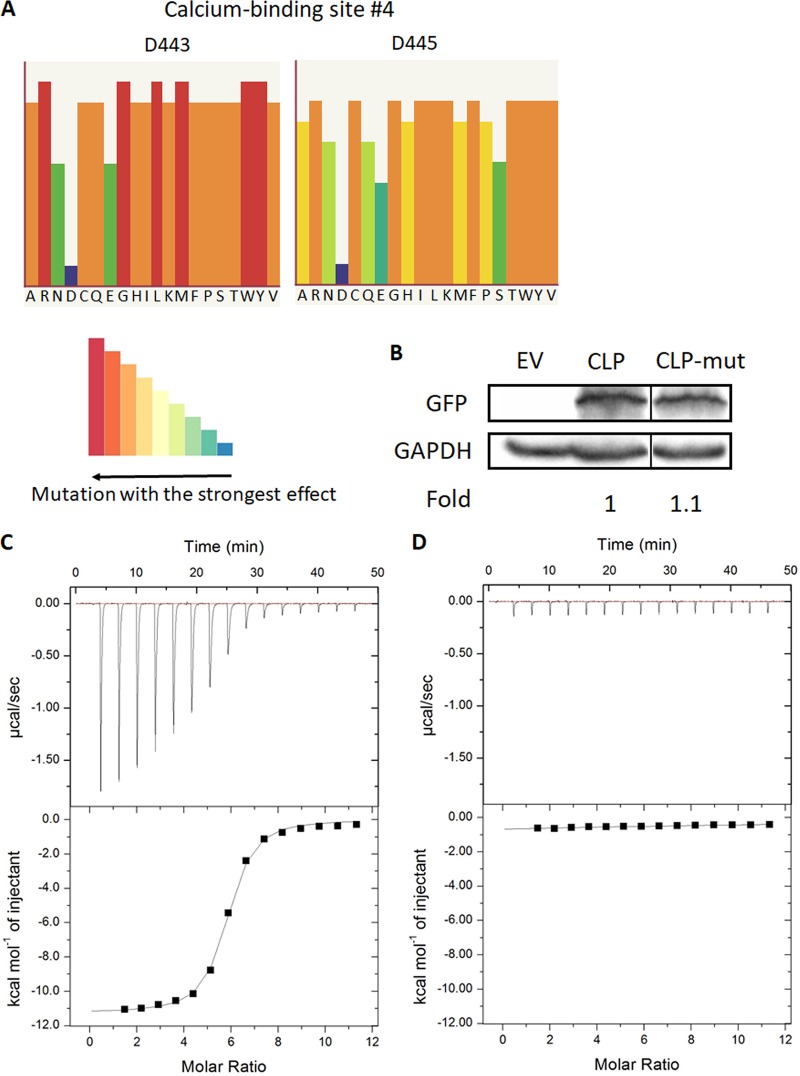 FIG 4