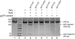 FIG 5