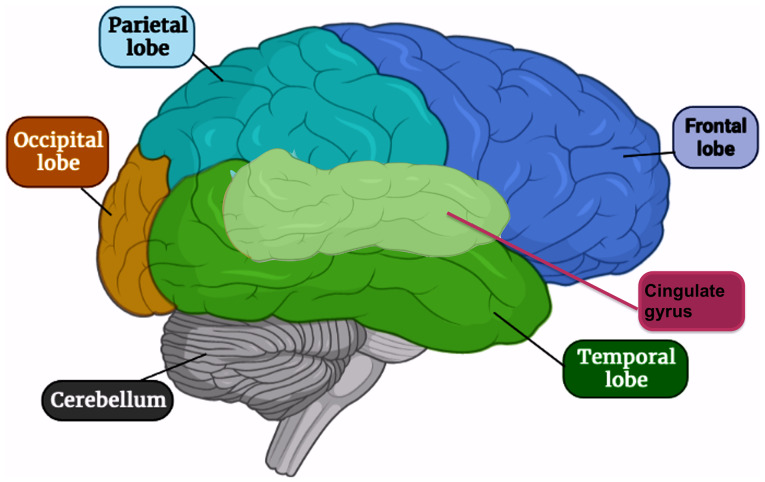 Figure 1.