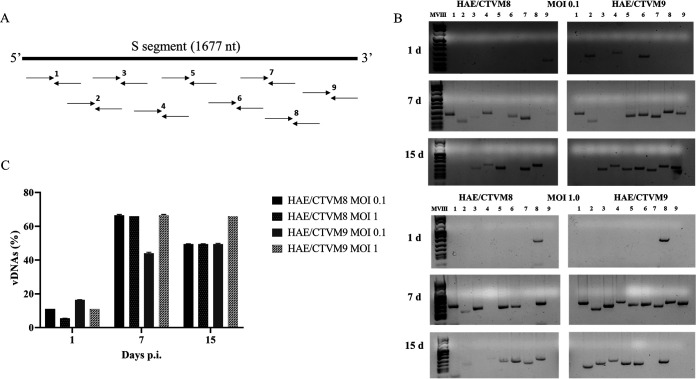 FIG 3