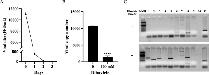 FIG 4