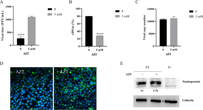 FIG 6