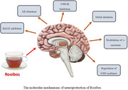 graphic file with name MNFR-69-e202400670-g003.jpg