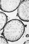416-2