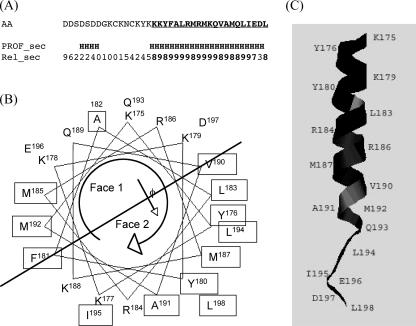 FIG. 2.